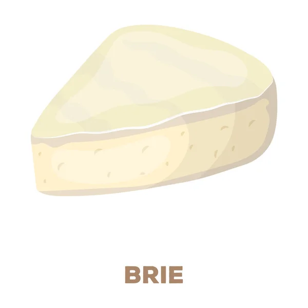 Brie.Different soorten kaas één pictogram in cartoon stijl vector symbool stock illustratie web. — Stockvector