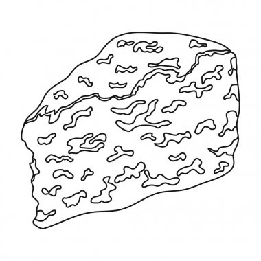 Roguefort.Different çeşit peynir tek simge siyah stil vektör simge stok çizim web içinde.