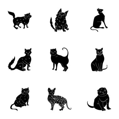 Kediler içinde bir resim koleksiyonu. Farklı cats içinde bir resim. Kedi doğurmak simge siyah stil vektör simge stok çizim üzerinde set koleksiyonu.