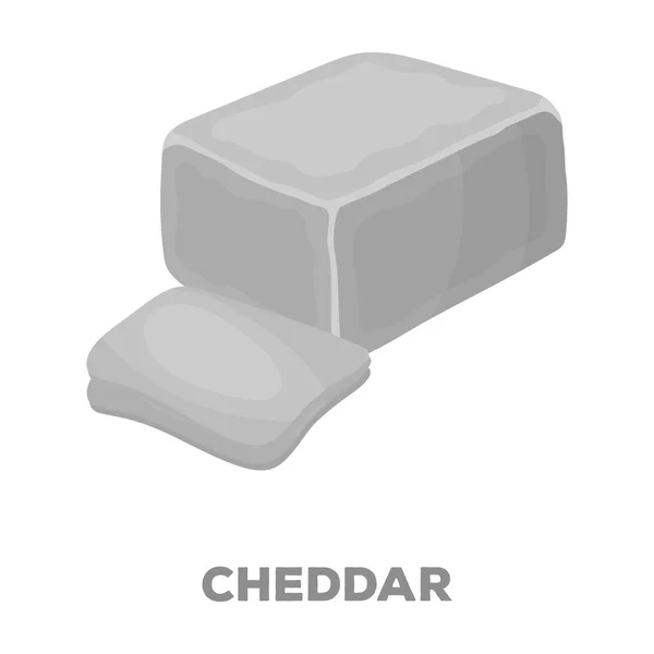 Cheddar.Different tipos de queso único icono en negro estilo vector símbolo stock ilustración web . — Archivo Imágenes Vectoriales