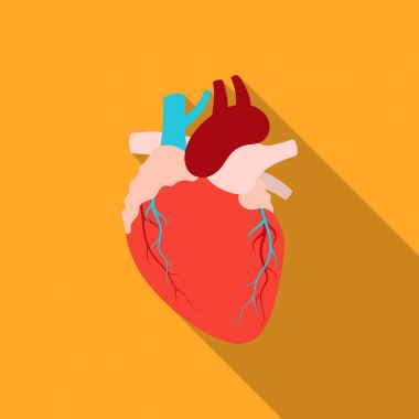 Düz tarzında beyaz arka plan üzerinde izole kalp simgesi. Organları sembol stok vektör çizim.