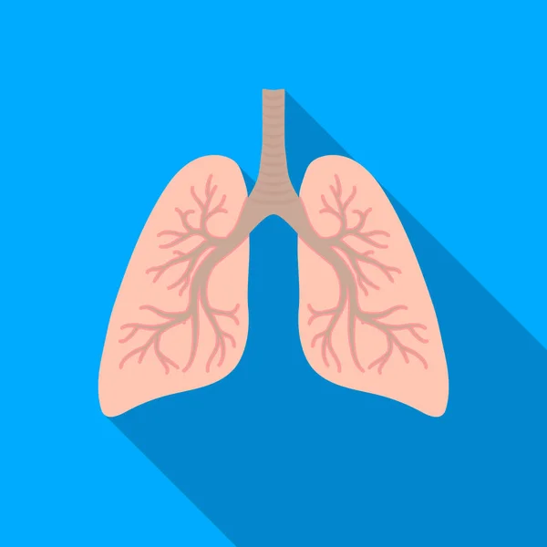 Ícone de pulmões em estilo plano isolado em fundo branco. Símbolo de órgãos ilustração vetorial de estoque . —  Vetores de Stock
