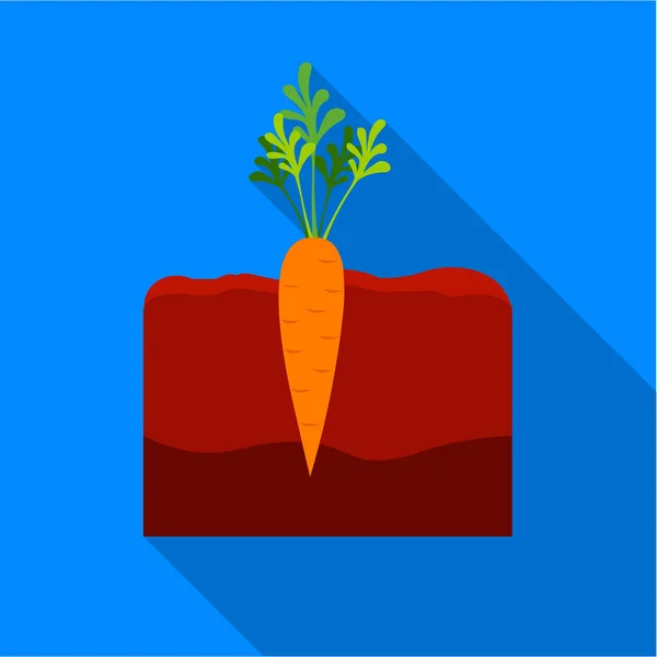 Ícone de cenoura plano. Ícone de planta única da grande fazenda, jardim, agricultura plana . — Vetor de Stock