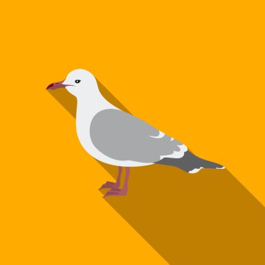 Martı simgesi beyaz arka plan üzerinde izole flate tarzı. Kuş sembol stok vektör çizim.