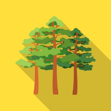 Çam vektör simgesi web için düz stilde