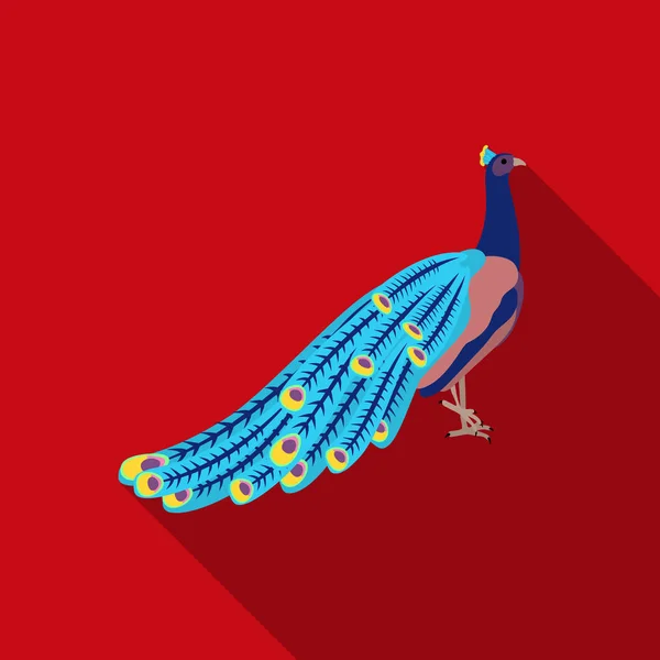 Icono de pavo real en estilo plano aislado sobre fondo blanco. Pájaro símbolo stock vector ilustración . — Vector de stock
