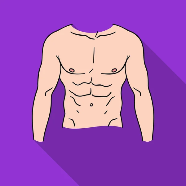 Icono del torso muscular en estilo plano aislado sobre fondo blanco. Deporte y fitness símbolo stock vector ilustración . — Vector de stock