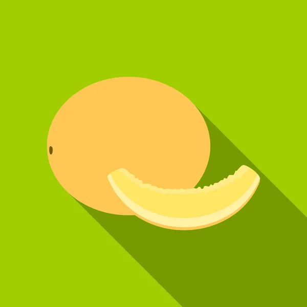 Melon icon flat. Singe fruit icon. — Stock Vector