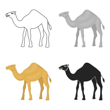 Deve simgesi beyaz arka plan üzerinde izole karikatür tarzı. Arap Emirlikleri sembol stok vektör çizim.