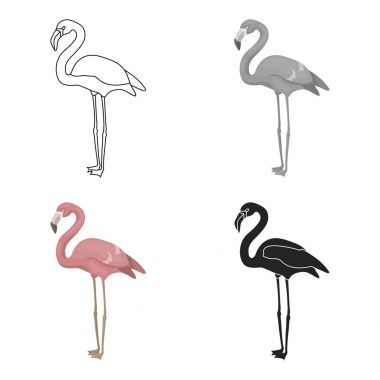 Flamingo simgesi beyaz arka plan üzerinde izole karikatür tarzı. Kuş sembol stok vektör çizim.