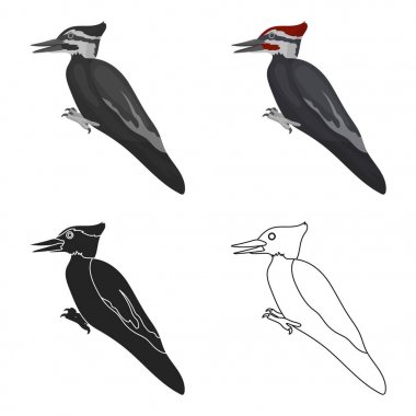 Ağaçkakan simgesi beyaz arka plan üzerinde izole karikatür tarzı. Kuş sembol stok vektör çizim.