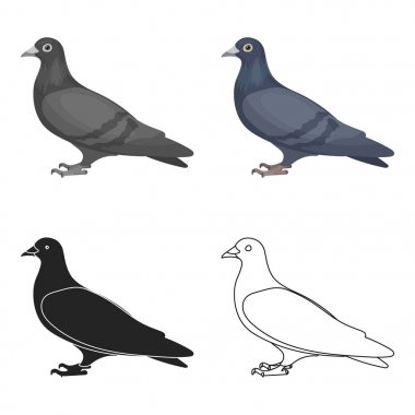 Güvercin simgesi beyaz arka plan üzerinde izole karikatür tarzı. Kuş sembol stok vektör çizim.