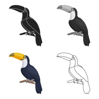 Beyaz arka plan üzerinde izole karikatür tarzı toucan simgesini. Kuş sembol stok vektör çizim.