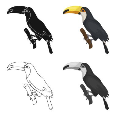 Brezilyalı toucan simgesi beyaz arka plan üzerinde izole karikatür tarzı. Brezilya ülke sembol stok vektör çizim.