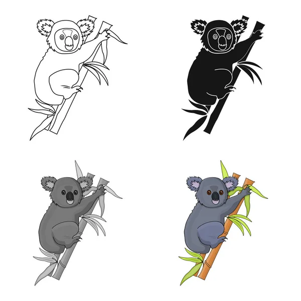 Icono de koala australiano en estilo de dibujos animados aislado sobre fondo blanco. Australia símbolo stock vector ilustración . — Archivo Imágenes Vectoriales