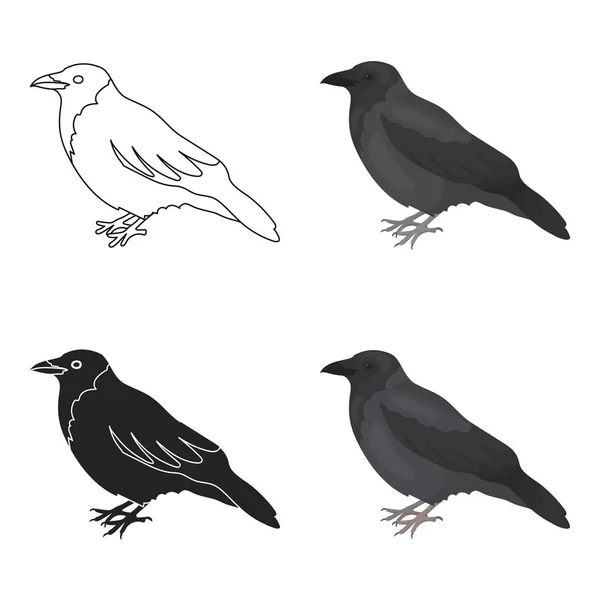 Ícone de corvo em estilo cartoon isolado no fundo branco. Ilustração vetorial de estoque de símbolo de pássaro . — Vetor de Stock