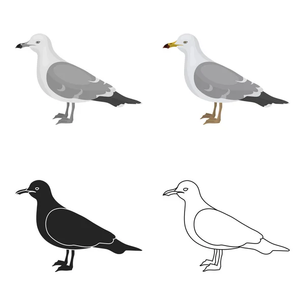 Icono de gaviota en estilo de dibujos animados aislado sobre fondo blanco. Pájaro símbolo stock vector ilustración . — Vector de stock
