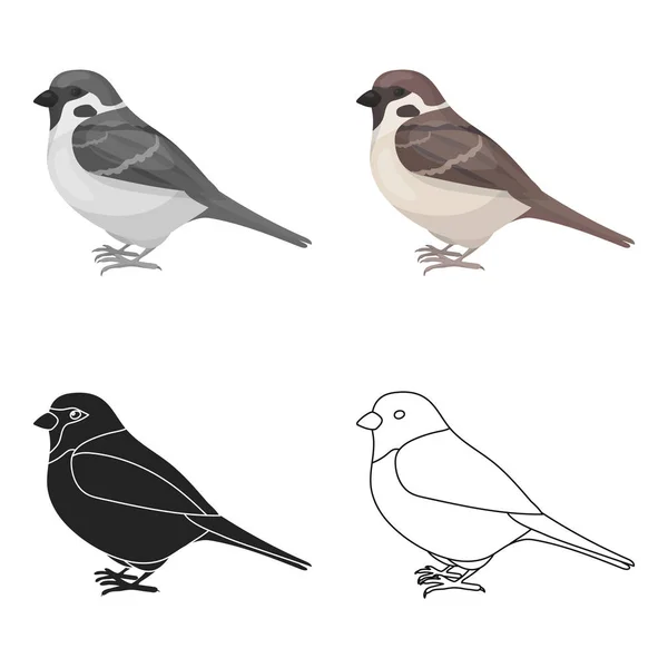 Sperling-Symbol im Cartoon-Stil isoliert auf weißem Hintergrund. Vogel Symbol Aktienvektor Illustration. — Stockvektor