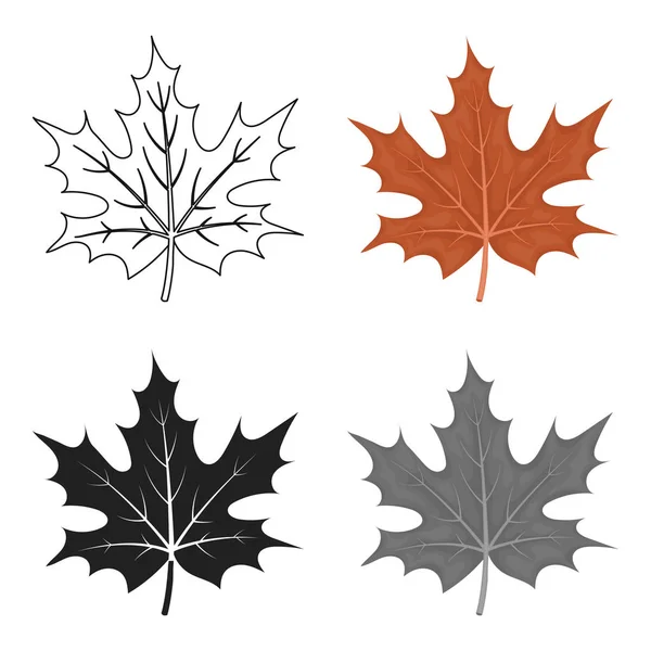 Icono de hoja de arce en estilo de dibujos animados aislado sobre fondo blanco. Día de Acción de Gracias canadiense símbolo stock vector ilustración . — Vector de stock