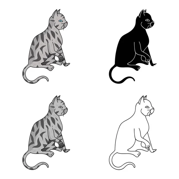 Американская икона короткометражки в стиле мультфильма выделена на белом фоне. Породы кошек векторные иллюстрации . — стоковый вектор