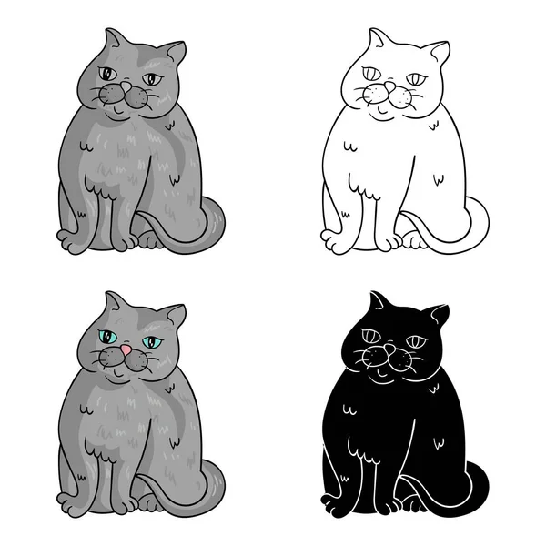 Icône exotique à poil court en style dessin animé isolé sur fond blanc. races de chats symbole illustration vectorielle de stock . — Image vectorielle