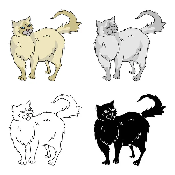 Ícone persa em estilo cartoon isolado no fundo branco. Gato raças símbolo estoque vetor ilustração . — Vetor de Stock