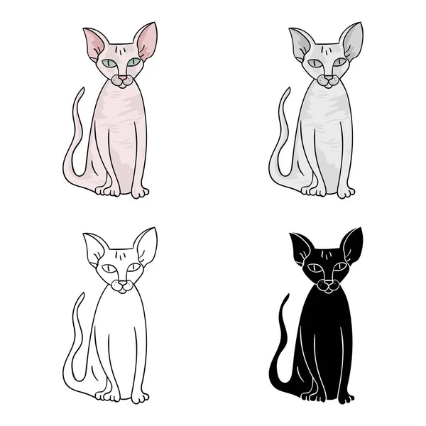 Icono de Peterbald en estilo de dibujos animados aislado sobre fondo blanco. Gato razas símbolo stock vector ilustración . — Vector de stock