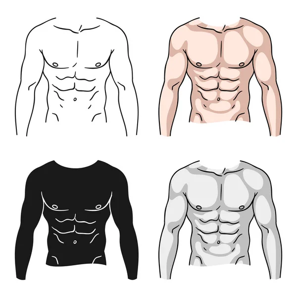 Icono del torso muscular en estilo de dibujos animados aislado sobre fondo blanco. Deporte y fitness símbolo stock vector ilustración . — Archivo Imágenes Vectoriales