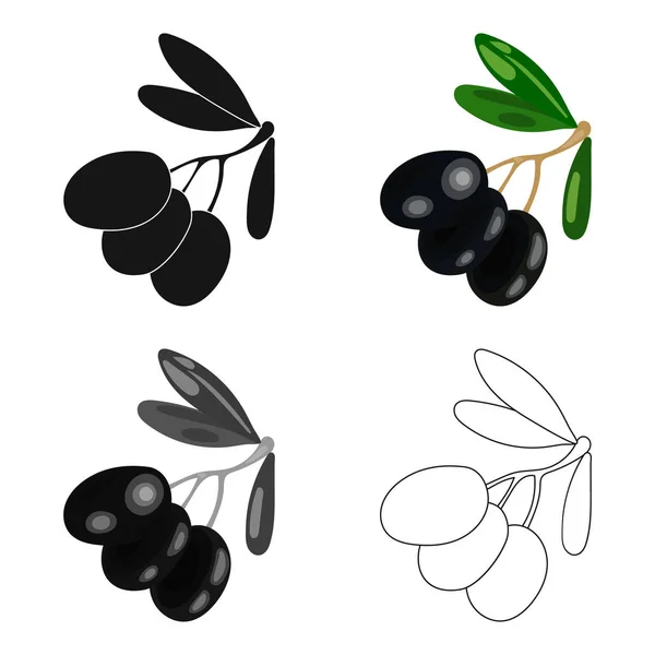 Aceitunas negras en el icono de la rama en estilo de dibujos animados aisladas sobre fondo blanco. Grecia símbolo stock vector ilustración . — Vector de stock