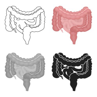 Beyaz arka plan üzerinde izole karikatür tarzı gastrointestinal sistem kutsal kişilerin resmi. Organları sembol stok vektör çizim.