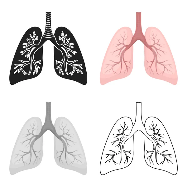 Het pictogram van de longen in cartoon stijl geïsoleerd op een witte achtergrond. Organen symbool voorraad vectorillustratie. — Stockvector