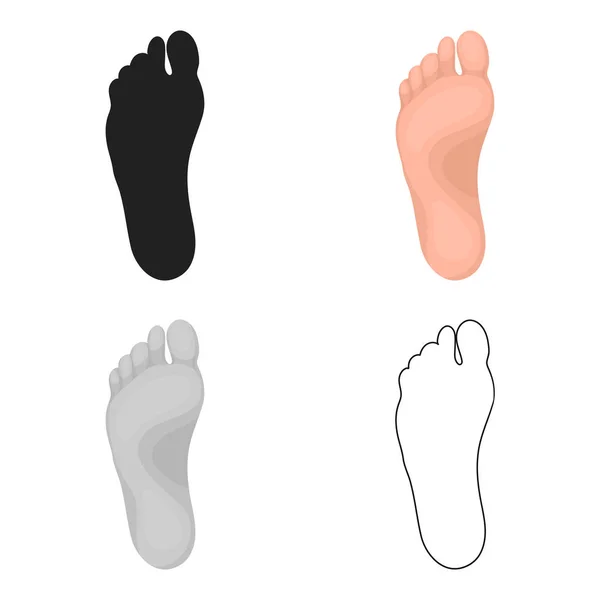 Icône de pied en style dessin animé isolé sur fond blanc. Partie du symbole du corps illustration vectorielle de stock . — Image vectorielle