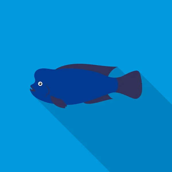 Stearocranus ryba ikona plochý. Připálit akvarijních ryb ikonu z moře, podmořský život ploché. — Stockový vektor