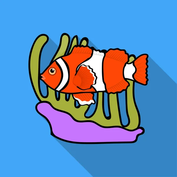 小丑鱼和海葵在白色背景上孤立的平面样式的图标。澳大利亚象征股票矢量图. — 图库矢量图片