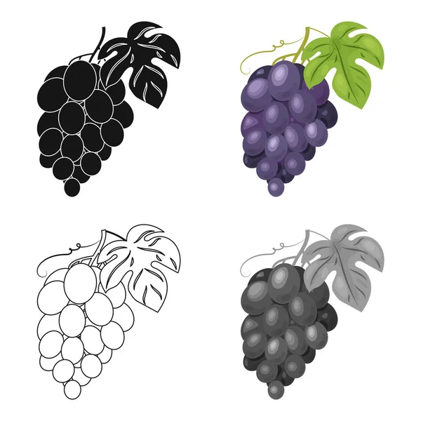 Icono de racimo de uvas en estilo de dibujos animados aislado sobre fondo blanco. Producción de vino símbolo stock vector ilustración . — Vector de stock