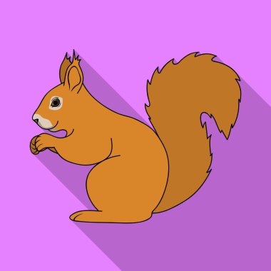 Düz stil vektör simge stok çizim web Squirrel.Animals tek simge.