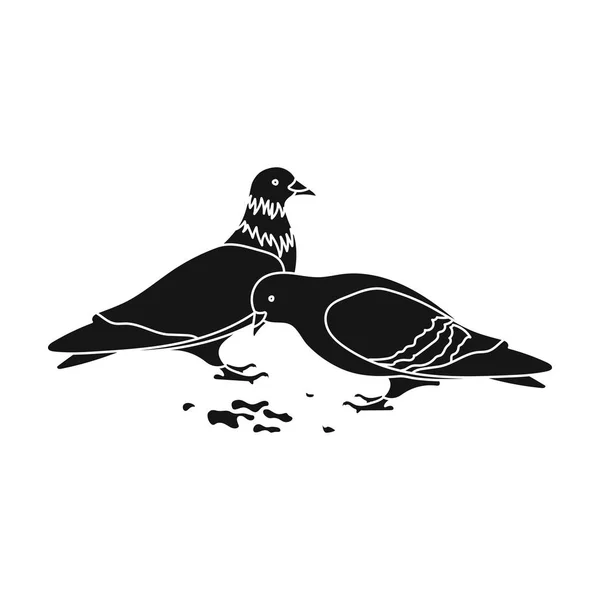 Pigeon.Old age одиночная иконка в черном стиле векторные символы фондовые иллюстрации веб . — стоковый вектор