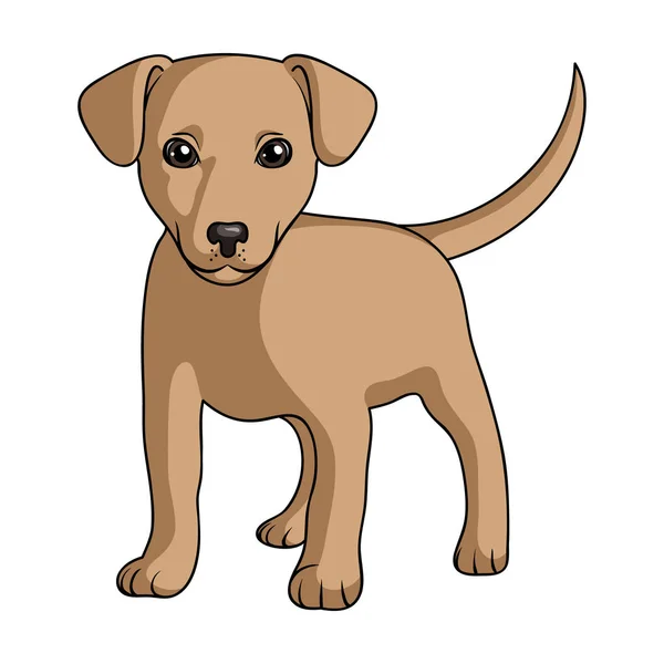 Pup labrador. Dieren enkel pictogram in cartoon stijl vector symbool stock illustratie web. — Stockvector