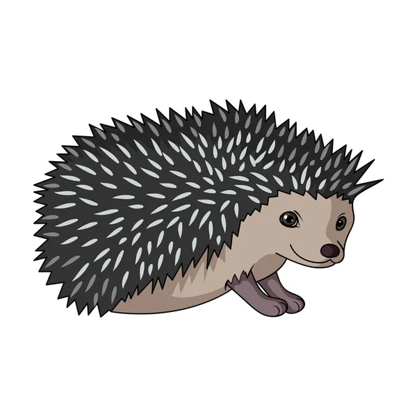 Hedgehog.Animals enda ikon i tecknad stil vektor symbol stock illustration web. — Stock vektor