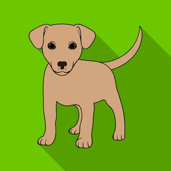 Labrador kiskutya. Állatok egyetlen ikon-ban lapos stílusú vektor szimbólum stock illusztráció web. — Stock Vector