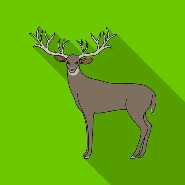 Cerf avec de grandes cornes. Animaux icône unique dans le style plat symbole vectoriel illustration web . — Image vectorielle
