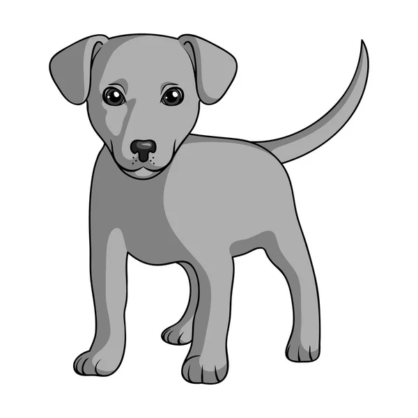 Cachorro labrador.Animals icono único en el estilo monocromo vector símbolo stock ilustración web . — Archivo Imágenes Vectoriales