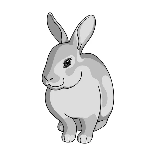 Conejo gris. Icono único de animales en el estilo monocromo vector símbolo stock ilustración web . — Archivo Imágenes Vectoriales