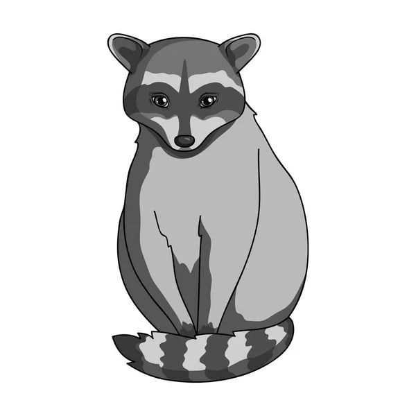 Raccoon.Animals único ícone em estilo monocromático símbolo vetorial estoque ilustração web . —  Vetores de Stock
