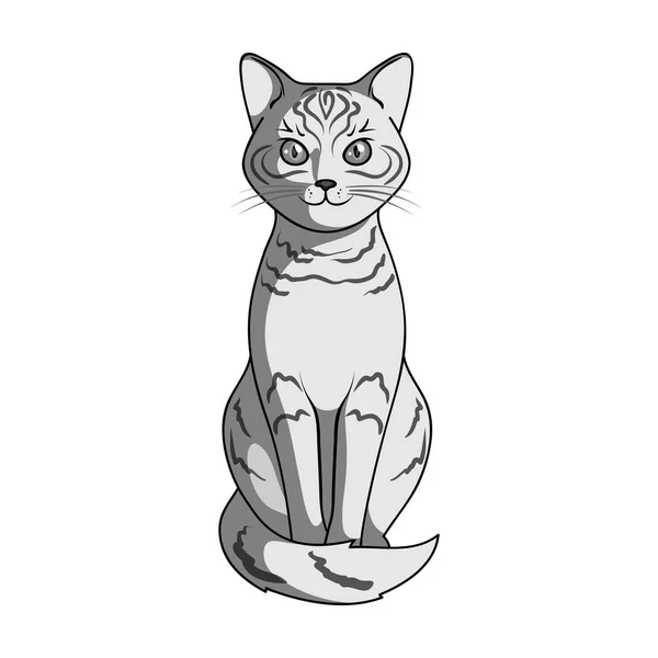 Γκρι γάτα. Ζώα ενιαία εικόνα σε μονόχρωμη στυλ διάνυσμα σύμβολο μετοχής εικονογράφηση web. — Διανυσματικό Αρχείο