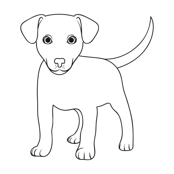 Puppy labrador.Animals single icon in outline style vector symbol stock illustration web. — Stock Vector