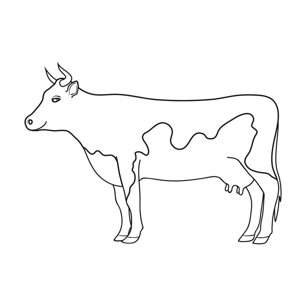 Cow.Animals ikon tunggal dalam gaya outline simbol vektor stok gambar web . - Stok Vektor