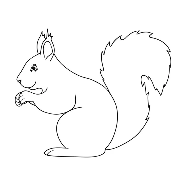 Squirrel.Animals singola icona in stile contorno vettore simbolo stock illustrazione web . — Vettoriale Stock