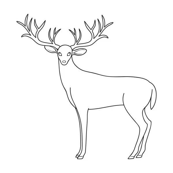 Ciervo con cuernos grandes.Animales icono único en contorno estilo vector símbolo stock ilustración web . — Vector de stock