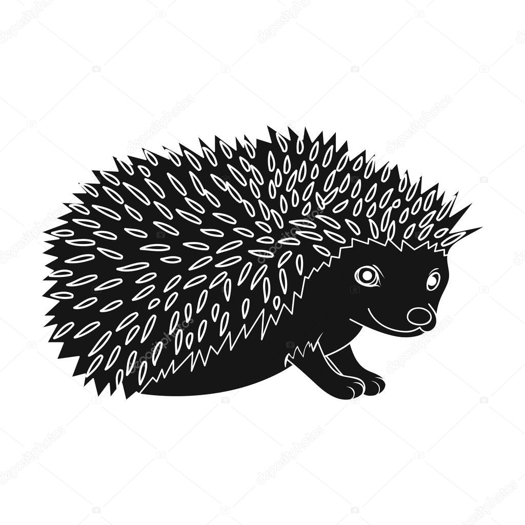 Hedgehog.Animals single icon in black style vector symbol stock illustration .